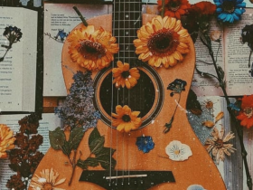 Tips for beginner guitarists: music made easy.