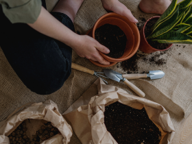 A woman planting a leafy plant in a tub
