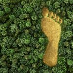 Carbon Footprint Sign