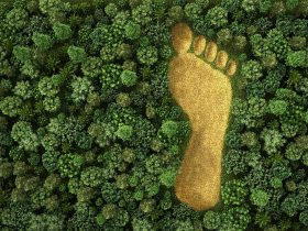 Carbon Footprint Sign