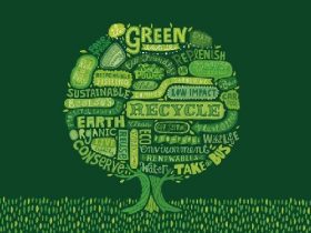 Sustainabble-living-practices