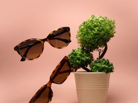 sunglass shopping in 2022